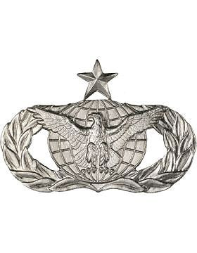 USAF Badge (AF-331B) Senior Law Enforcement No Shine