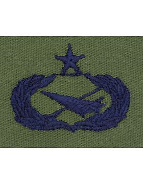 AF-S369 Senior Historian USAF Sew-On Subdued