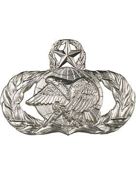 USAF Badge (AF-337C) Master Logistics No Shine