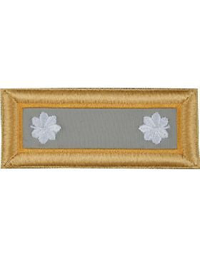 Finance 05 x LTC Male Rayon Shoulder Boards (SB-FI05M)