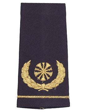 USAF Shoulder Marks (AF-SM755-G) Blue with Five Bugles (Chief) (Pair)