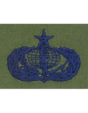 AF-S378 Senior Services USAF Sew-On Subdued