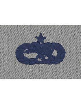 AF-SA324 Senior Aircraft Munitions Maintenance USAF Sew-On ABU