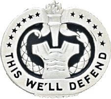 No-Shine (NS-812) Drill Sergeant Badge (Gold)