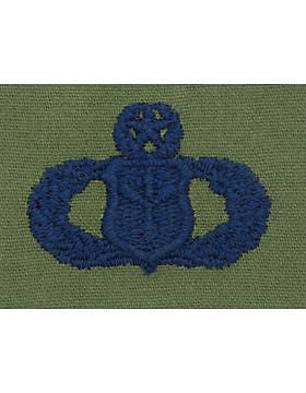 AF-S406 Master Information Management USAF Sew-On Subdued