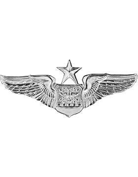 USAF Badge (AF-502B) Senior Navigator Observer No Shine Mini