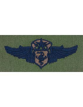 AF-S319 Master Flight Nurse USAF Sew-On Subdued