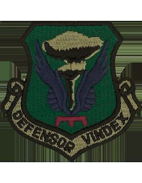 509th Bomb Wing Subdued Patch (Defensor Vindex)