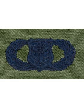 AF-S404 Basic Information Management USAF Sew-On Subdued