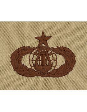 AF-SD363 Senior Band USAF Sew-On Desert