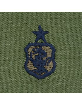 AF-S211 Senior Nurse USAF Sew-On Subdued