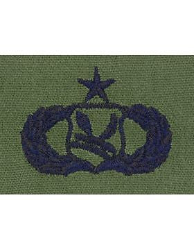 AF-S375 Senior Chapel Management USAF Sew-On Subdued