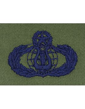 AF-S363 Senior Band USAF Sew-On Subdued