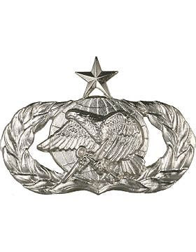 USAF Badge (AF-337B) Senior Logistics No Shine