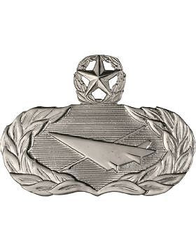 USAF Badge (AF-333C) Master Historian No Shine