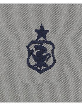 AF-SA211 Senior Nurse USAF Sew-On ABU