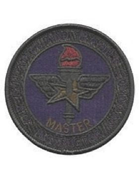 Air Training Command Master Instructor (AF-P101-C) Subdued