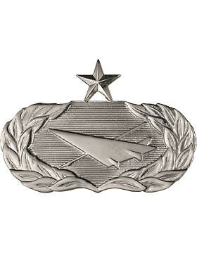 USAF Badge (AF-333B) Senior Historian No Shine