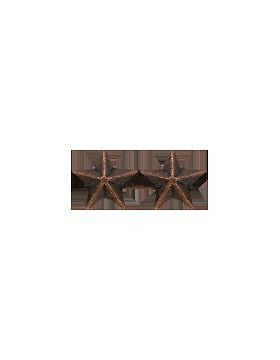 Ribbon Device (R-D102) 3/16 Bronze Star 2-On