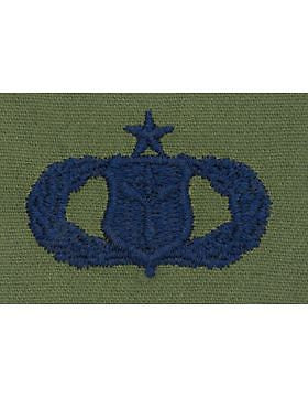 AF-S405 Senior Information Management USAF Sew-On Subdued