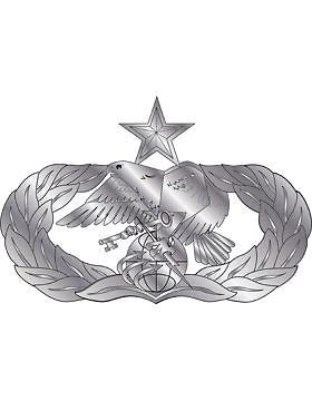 USAF Badge (AF-338B) Senior Logistics Readiness No Shine
