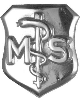 USAF Badge (AF-374A) Medical Service MS No Shine