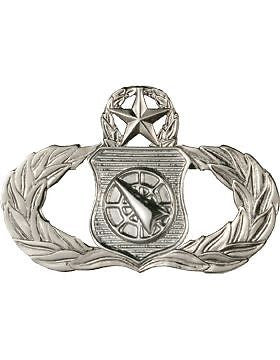 USAF Badge (AF-355C) Master Weapons Controller No Shine
