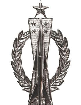 USAF Badge (AF-308B) Senior Missile Operator No Shine