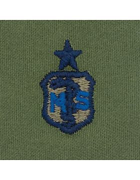 AF-S217 Senior Medical Services USAF Sew-On Subdued
