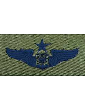 AF-S306 Master Navigator Observer USAF Sew-On Subdued