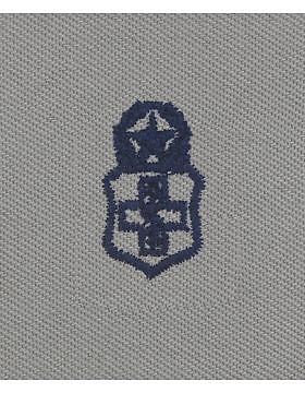 AF-SA346 Master Medical Technician USAF Sew-On ABU
