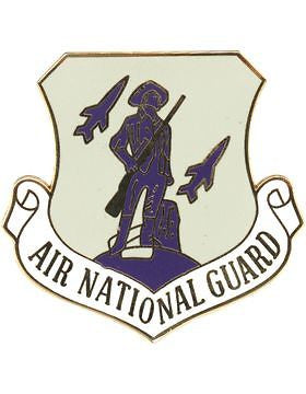 AF-D20/L-C AIR NATIONAL GUARD LARGE