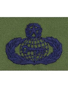AF-S394 Master Intelligence USAF Sew-On Subdued